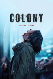 Colony